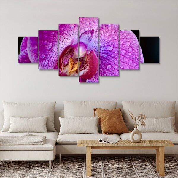 Detailní obraz květu orchideje (210x100 cm)