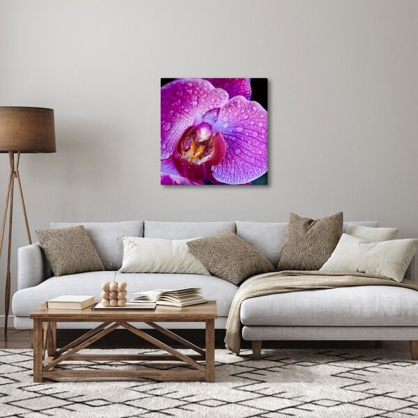 Detailní obraz květu orchideje (30x30 cm)