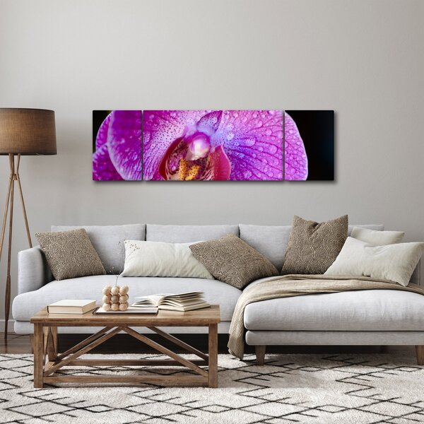 Detailní obraz květu orchideje (170x50 cm)