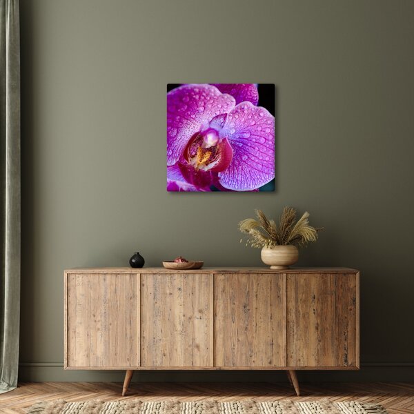 Detailní obraz květu orchideje (30x30 cm)