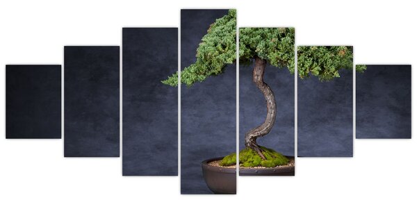 Obraz - Bonsai (210x100 cm)