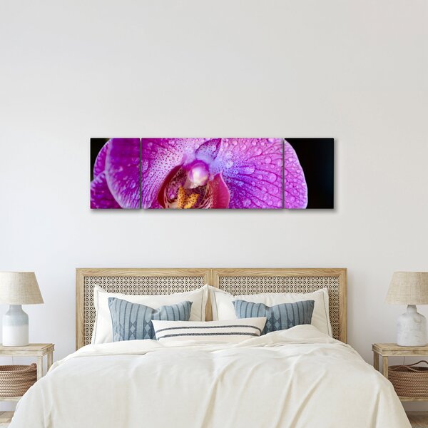 Detailní obraz květu orchideje (170x50 cm)