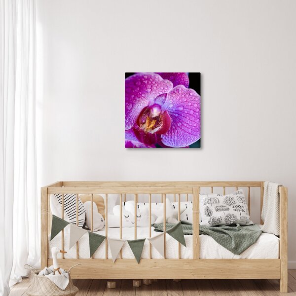 Detailní obraz květu orchideje (30x30 cm)