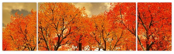 Obraz - Podzim (170x50 cm)