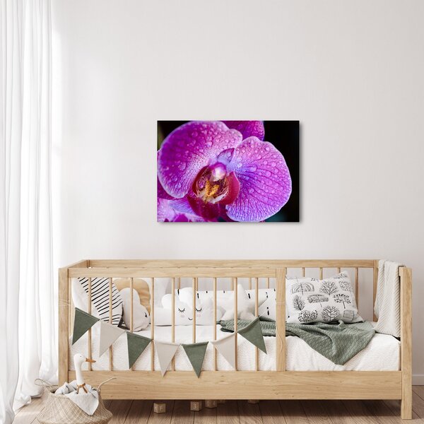 Detailní obraz květu orchideje (70x50 cm)