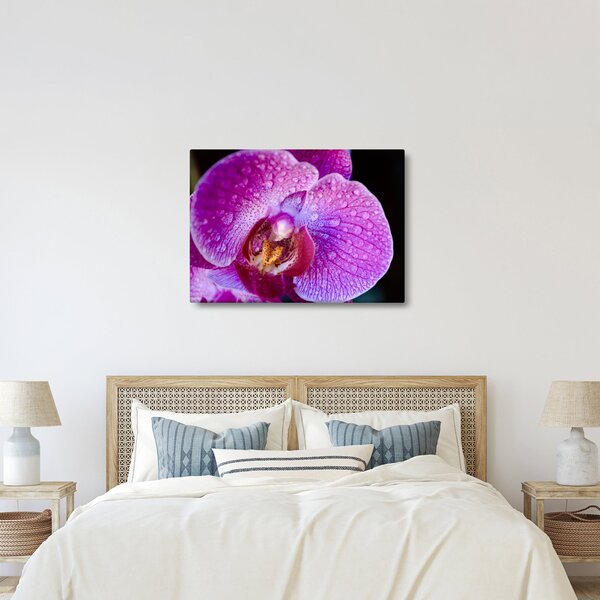 Detailní obraz květu orchideje (70x50 cm)