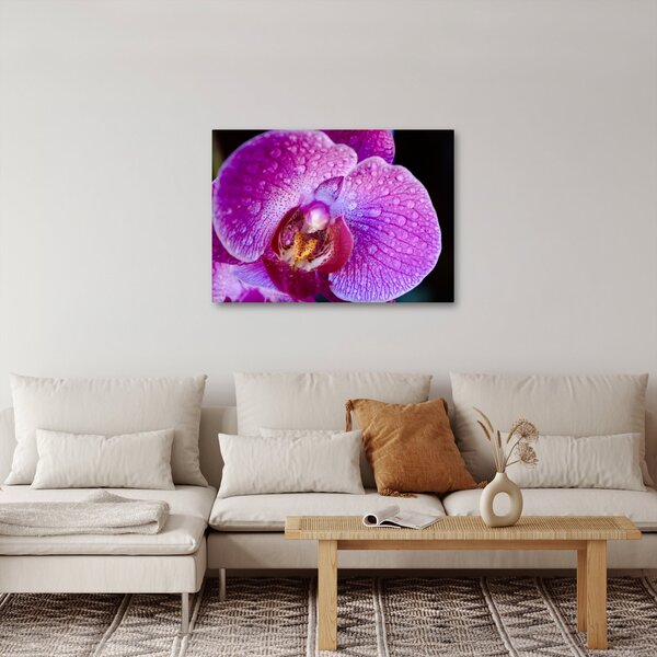 Detailní obraz květu orchideje (70x50 cm)