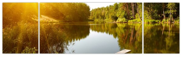 Obraz - Jezero u lesa (170x50 cm)
