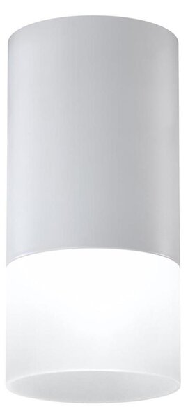 Bodové svítidlo TUBA 1xGU10/15W/230V šedá/bílá