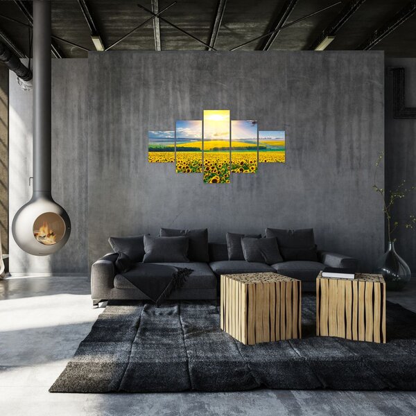 Obraz - Pole Slunečnic (125x70 cm)