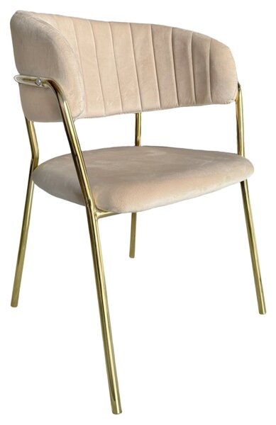 Designové jídelní křeslo DECO - Velvet látka, béžová / zlatá