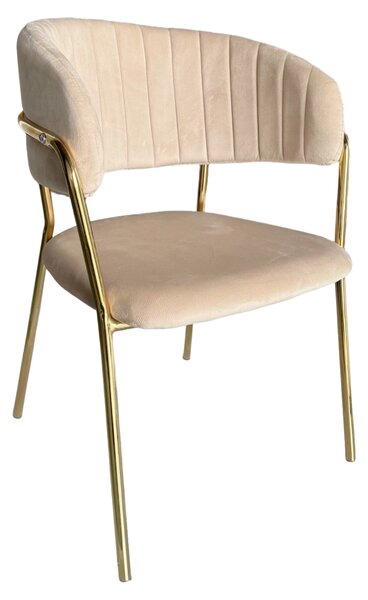 Designové jídelní křeslo DECO - Velvet látka, béžová / zlatá
