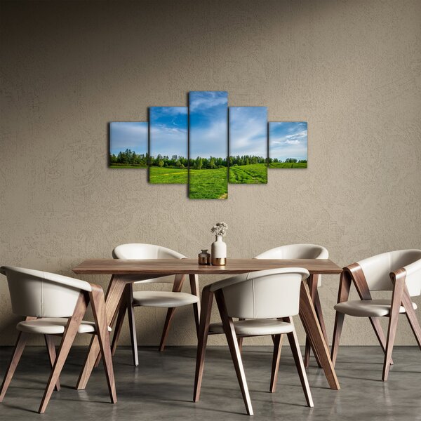 Obraz louky (125x70 cm)