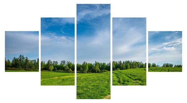 Obraz louky (125x70 cm)