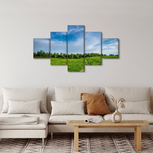 Obraz louky (125x70 cm)