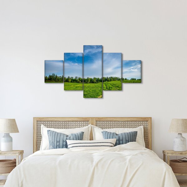 Obraz louky (125x70 cm)