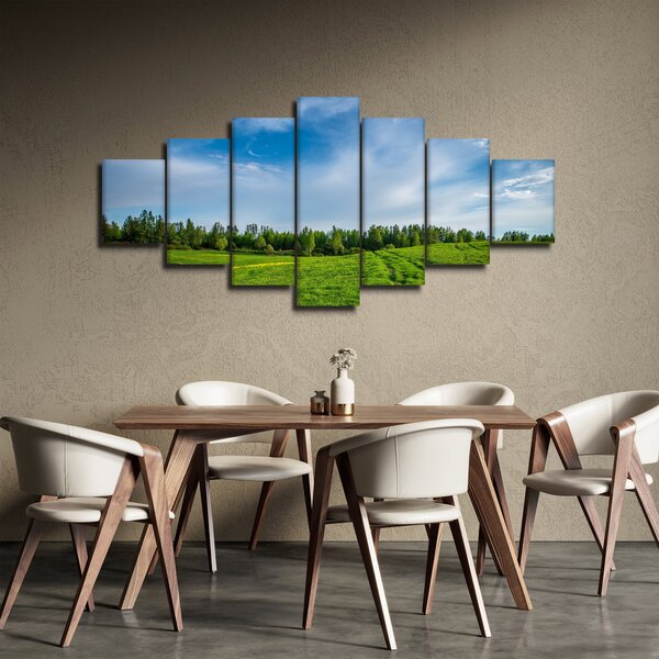 Obraz louky (210x100 cm)