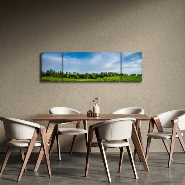 Obraz louky (170x50 cm)