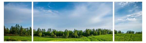Obraz louky (170x50 cm)
