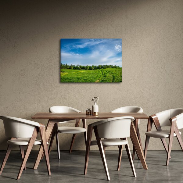 Obraz louky (70x50 cm)