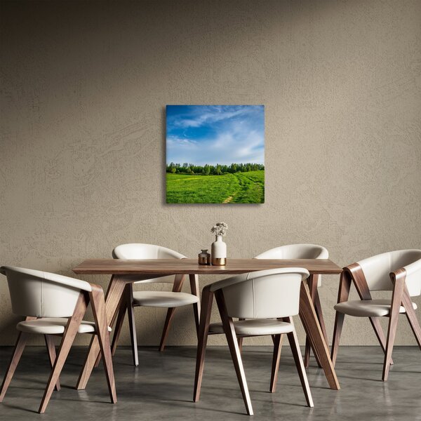 Obraz louky (30x30 cm)