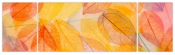 Obraz - Pozadí z podzimního listí (170x50 cm)
