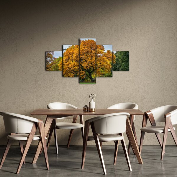 Obraz stromu (125x70 cm)