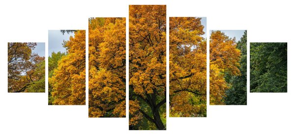 Obraz stromu (210x100 cm)