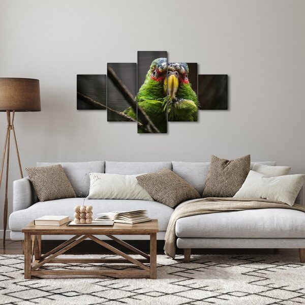 Obraz papouška (125x70 cm)