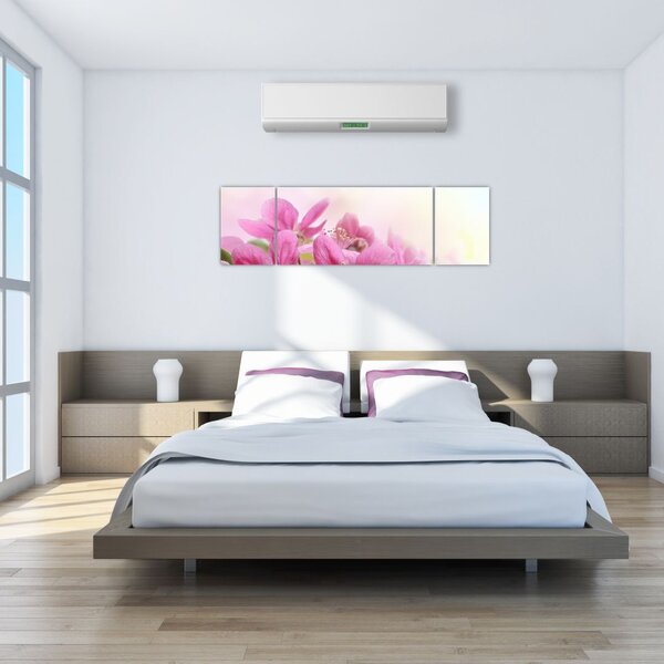Obraz - Růžové květy (170x50 cm)