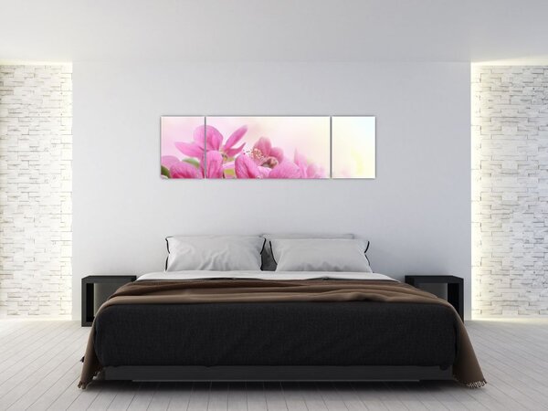 Obraz - Růžové květy (170x50 cm)