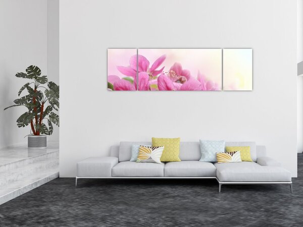 Obraz - Růžové květy (170x50 cm)