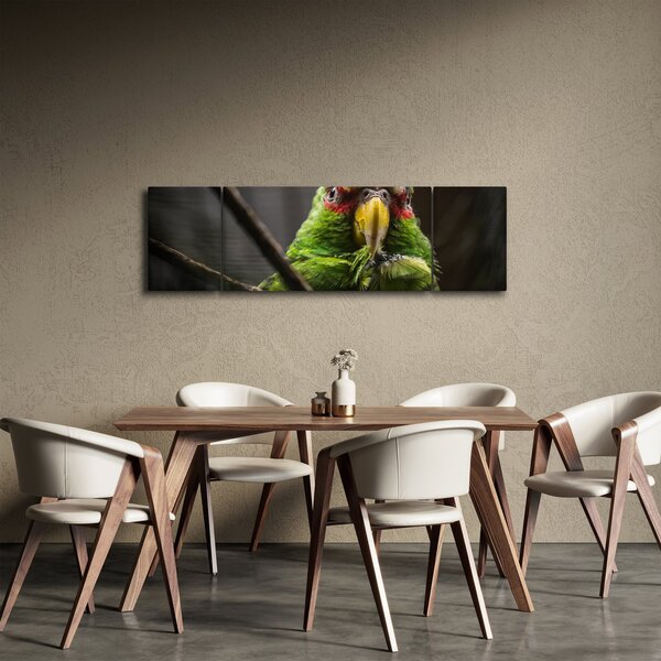 Obraz papouška (170x50 cm)