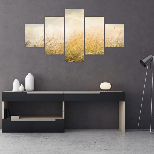 Obraz - Pole na podzim (125x70 cm)