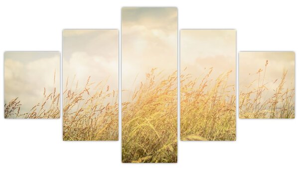 Obraz - Pole na podzim (125x70 cm)
