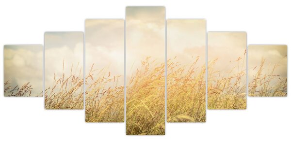 Obraz - Pole na podzim (210x100 cm)