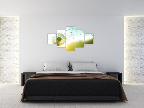Obraz - Pampeliška ve větru (125x70 cm)