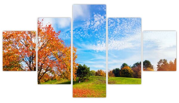 Obraz - Podzimní krajina (125x70 cm)
