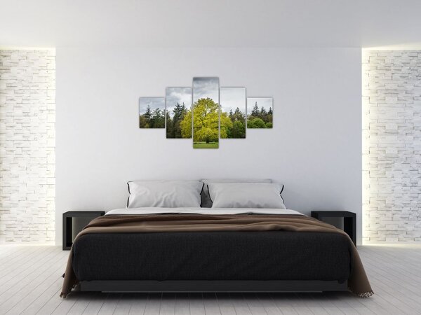 Obraz zeleného stromu uprostřed pole (125x70 cm)