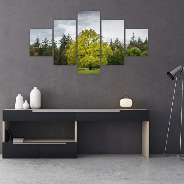 Obraz zeleného stromu uprostřed pole (125x70 cm)
