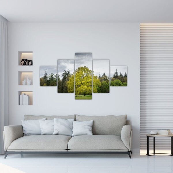 Obraz zeleného stromu uprostřed pole (125x70 cm)
