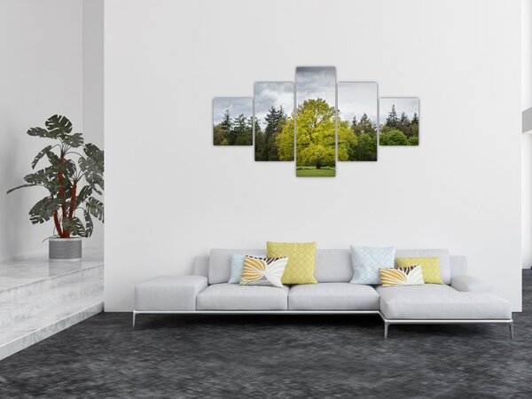 Obraz zeleného stromu uprostřed pole (125x70 cm)