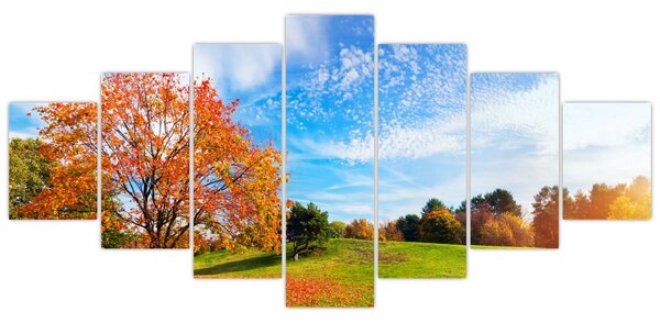 Obraz - Podzimní krajina (210x100 cm)