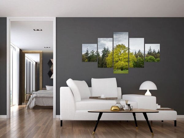 Obraz zeleného stromu uprostřed pole (125x70 cm)