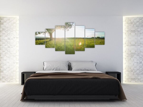 Obraz stromu v poli (210x100 cm)