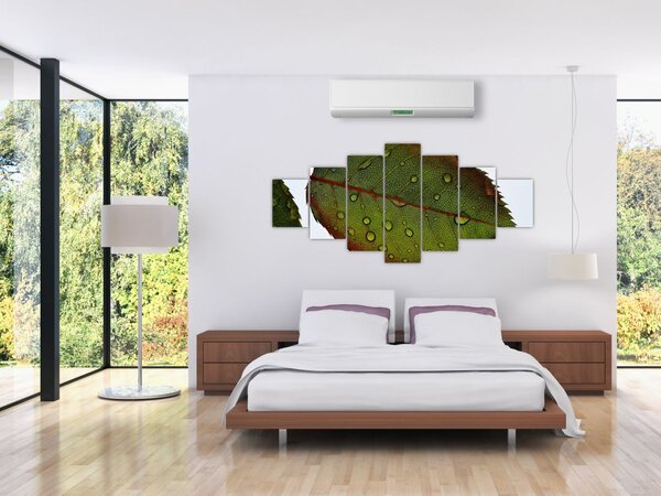 Obraz - List růže (210x100 cm)
