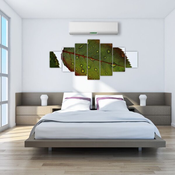 Obraz - List růže (210x100 cm)