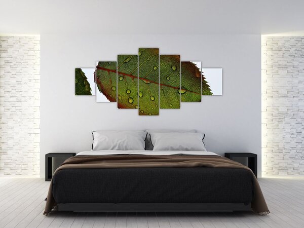 Obraz - List růže (210x100 cm)
