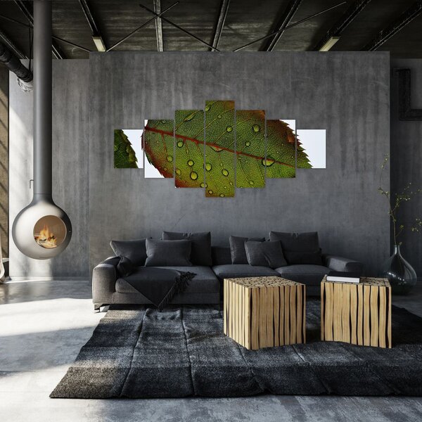 Obraz - List růže (210x100 cm)