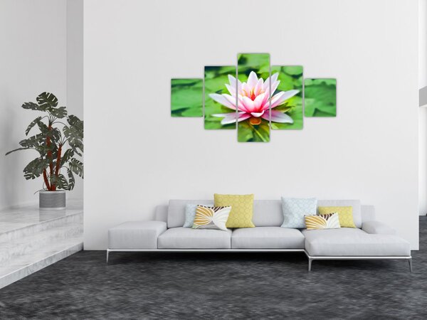 Obraz leknínu na hladině (125x70 cm)